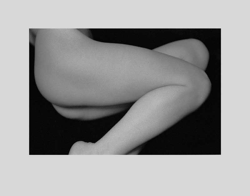 Legs