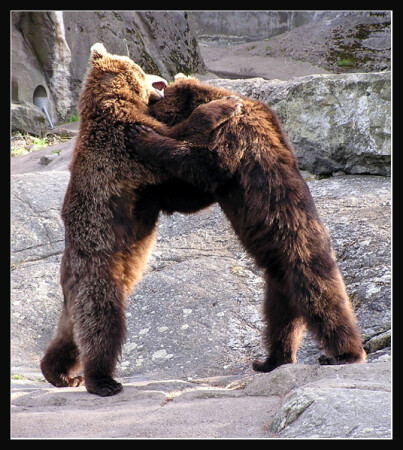 Fighting or love?