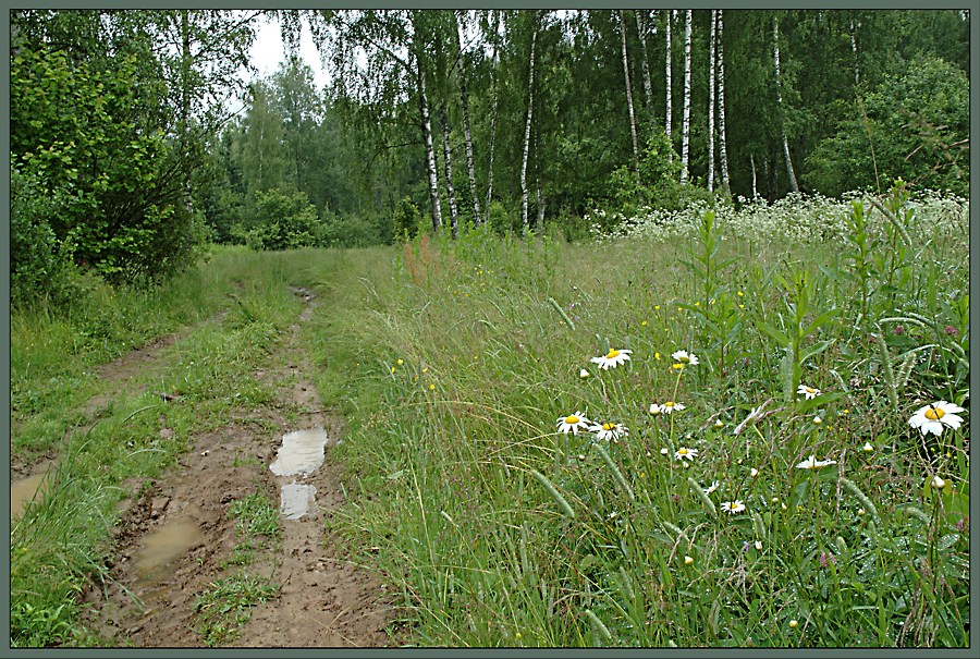 Дождливое лето 2004-го
