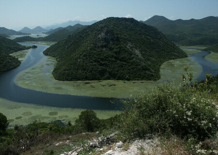 Река без названия