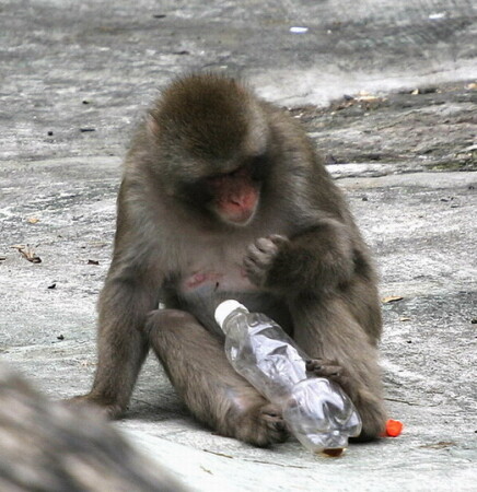 Праздник (см.коммент)