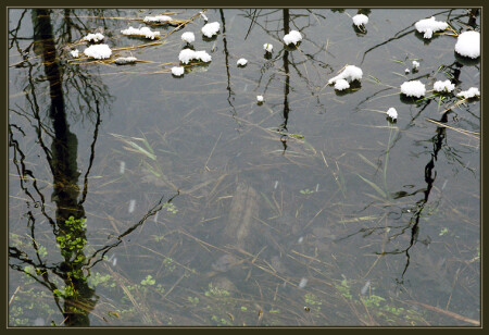 HorseShoe Valley (4)