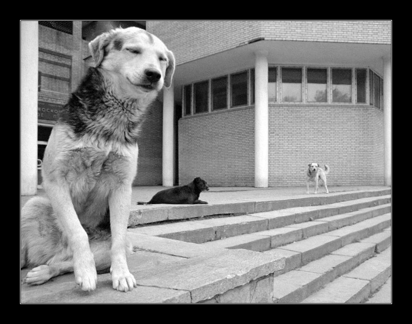 ох уж эти фоторушники..