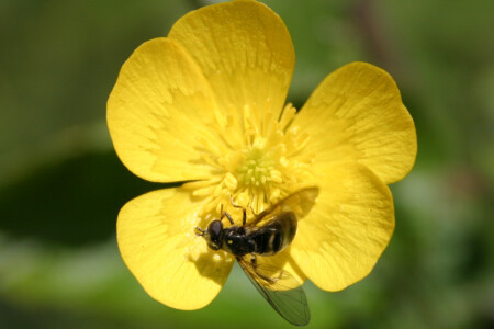 Похавать уселся