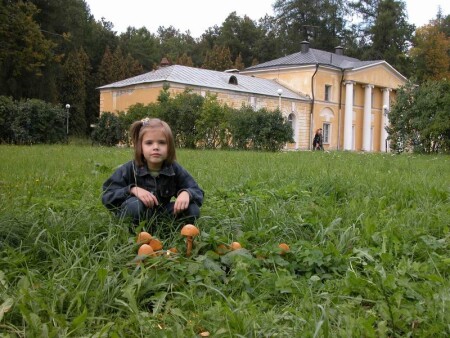 грибочки