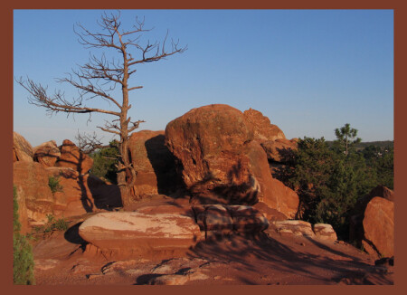 "garden of the gods"