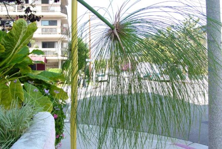 На окрестной улице