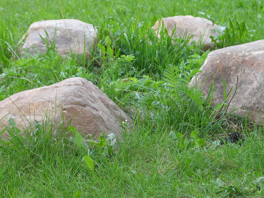 meeting of the rock