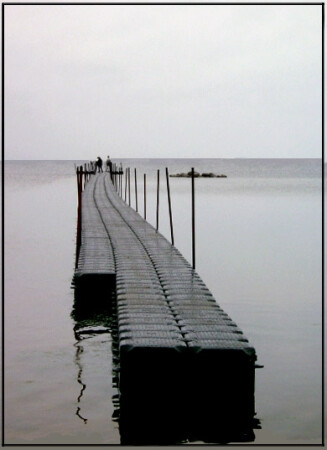«дорога в море»