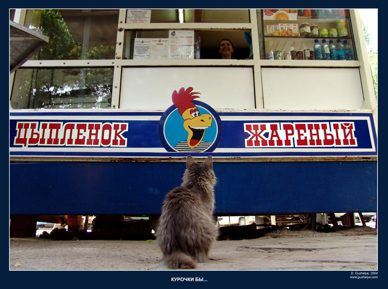 Курочки бы...