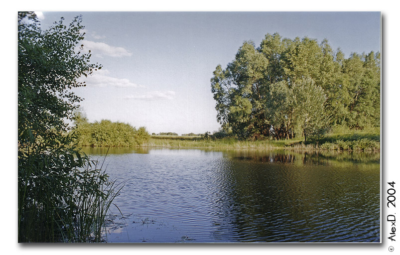 Вторая половина дня, жарко.
