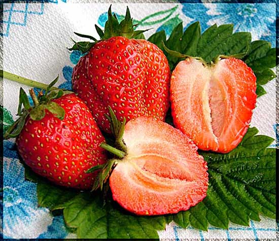лето красное