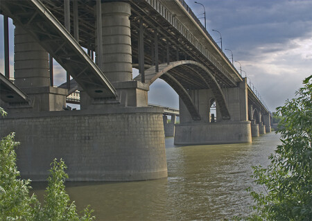 Вены и артерии