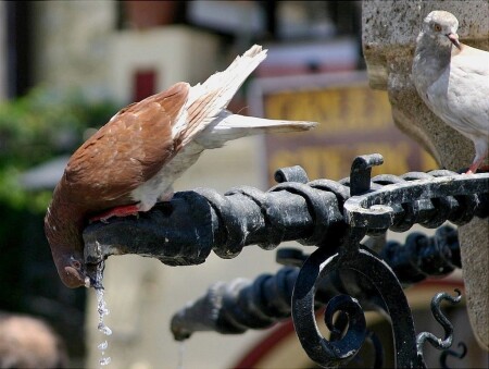 &amp;quot;Смотри, дорогая - это просто!&amp;quot;