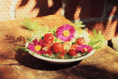 Первая клубника