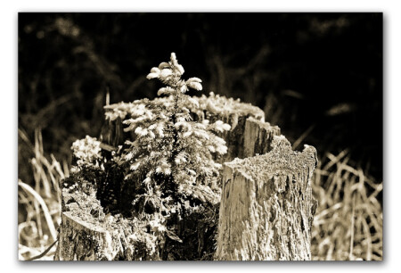 Жизнь продолжается!