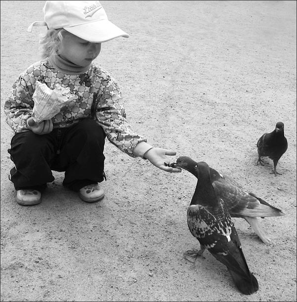 Взаимное доверие