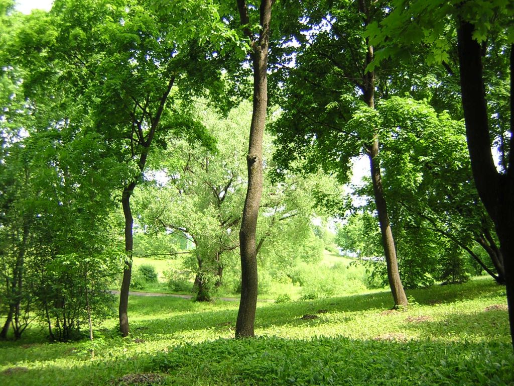 Ивановка