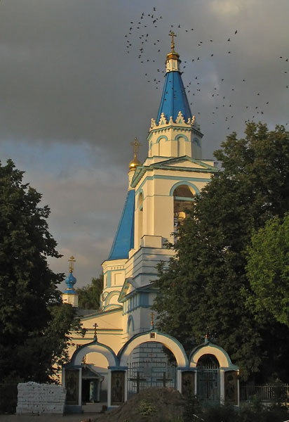 просто птицы