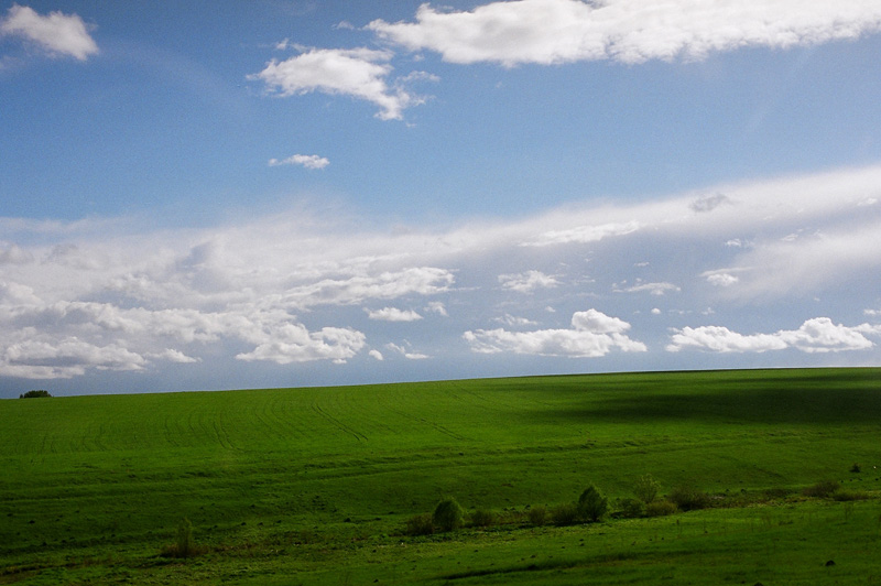 по мотивам Windows XP :)
