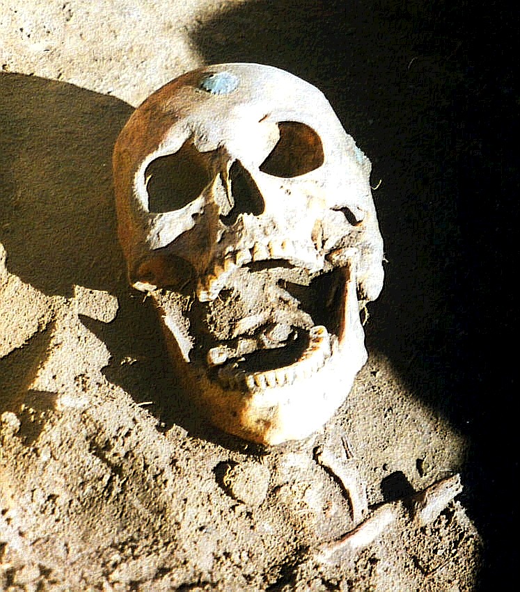 ей около 3000 лет