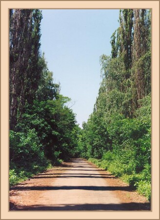 Параллельность