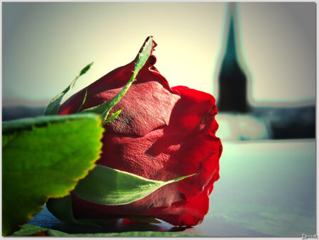 < Calando >