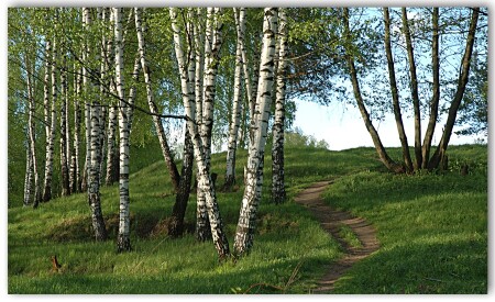 Тропинка