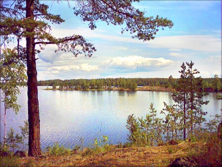 Летний день