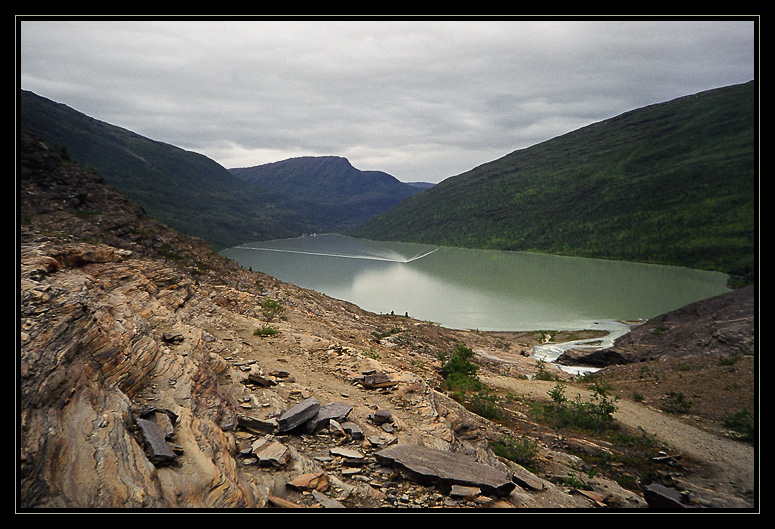 Svartisen