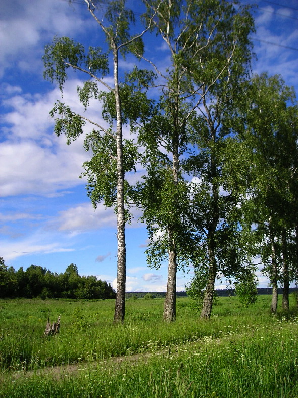 Россия