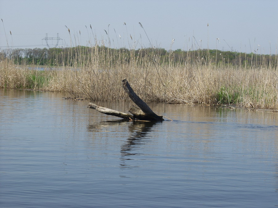 Утопленник