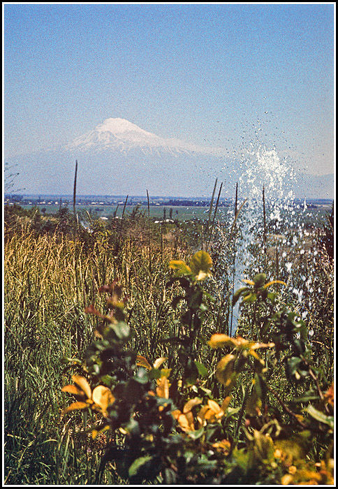 Арарат