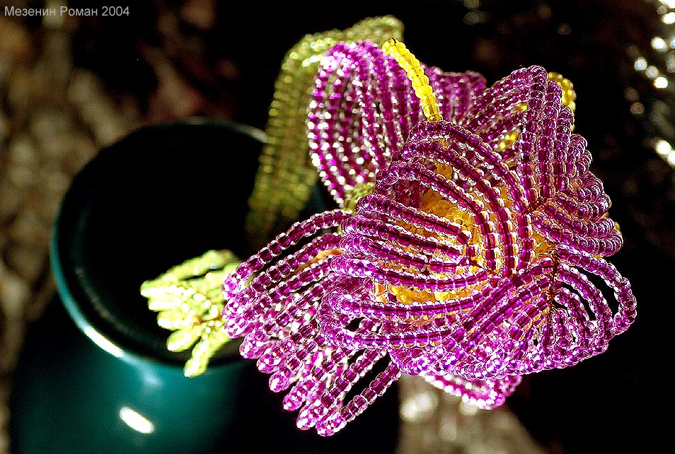 The Flower+