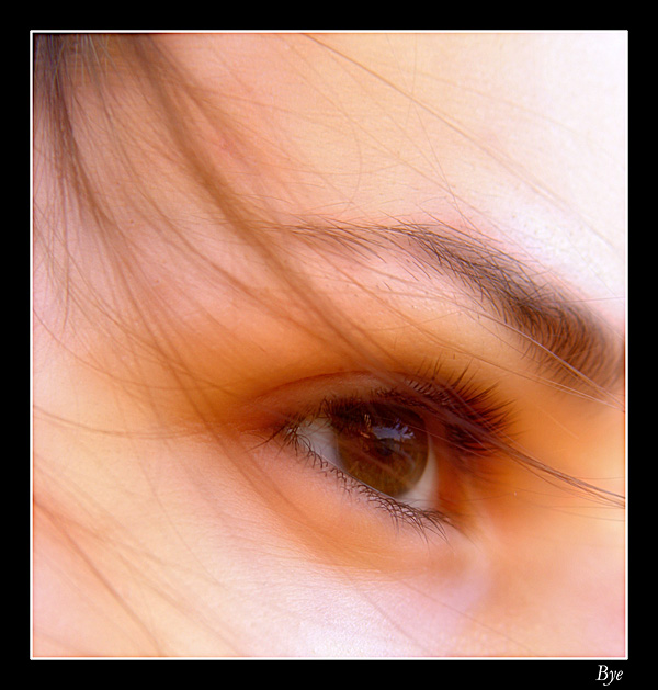 The eye