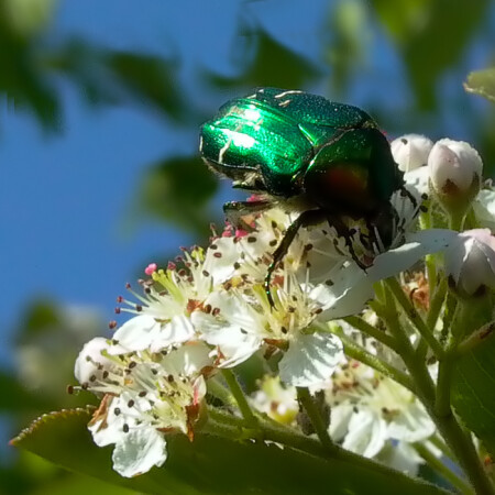 А это кто такой