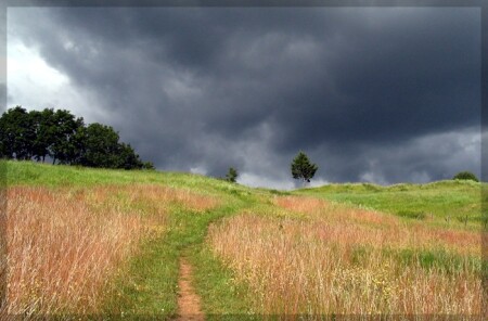 Тропинка в дождь