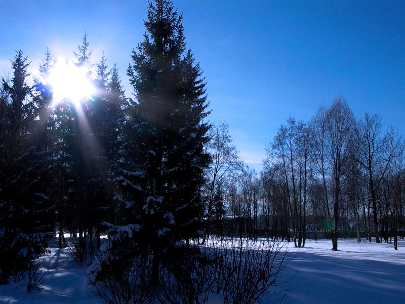 лучики 
