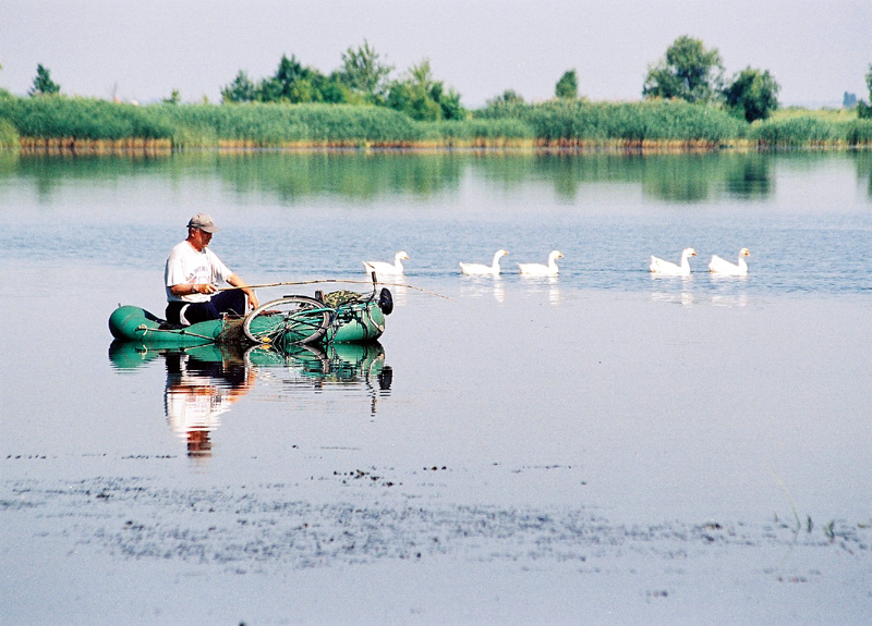 Хороший клев
