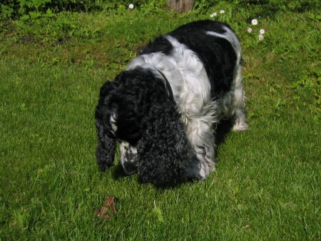 Что ето такое