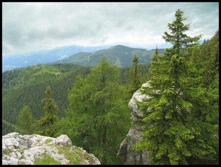 Местечко дикое, но симпатичное