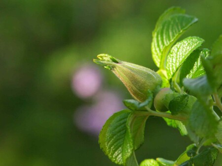 Закатные отблески