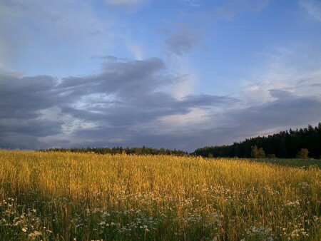 после грозы