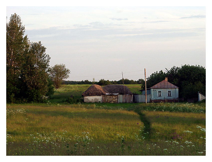 На хуторе Васильев