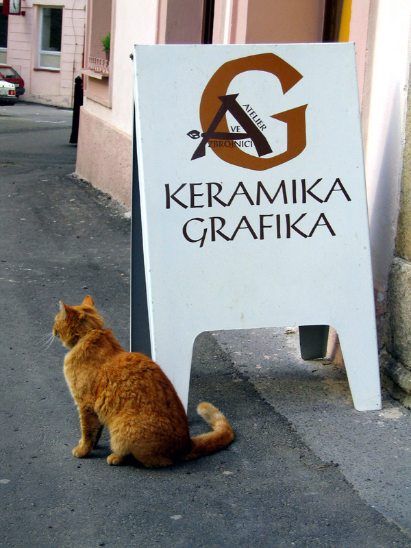 Керамический кот