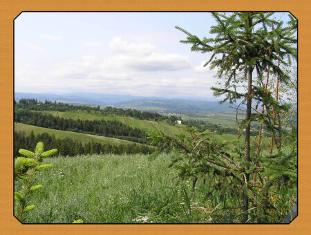Карпатские предгорья