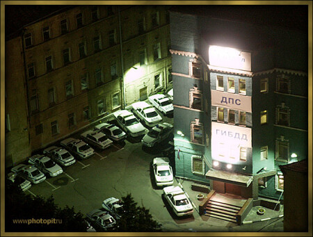Гнездо