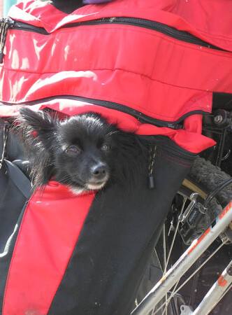 люблю кататься