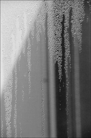 Испарина на окне