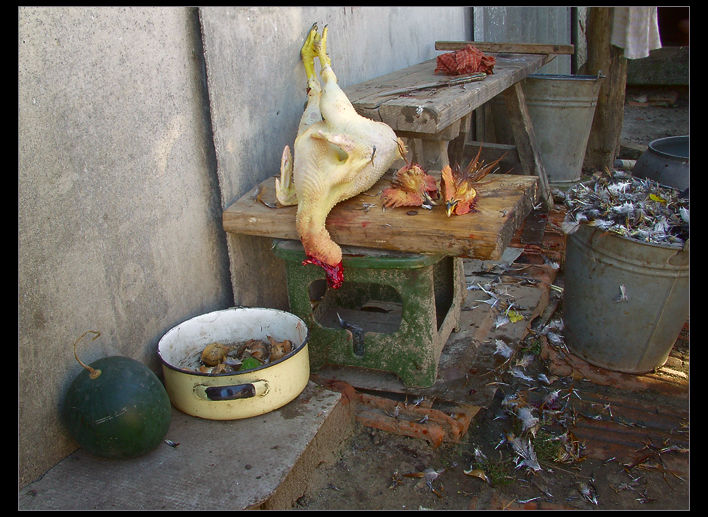 Nature Morte